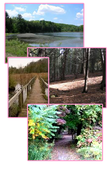 Nature Walks Images